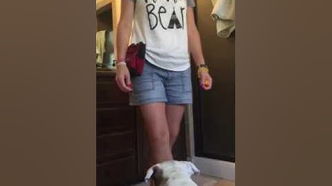 Tasha Merchant Lesson 4 Shape a new trick