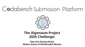 The Algonauts Project 2025 Challenge: Codabench Submission Platform