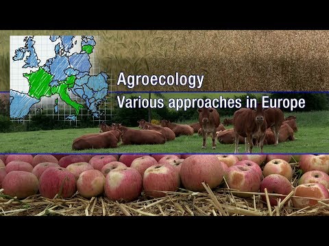 Video: Agronom, izumitelj prvega kombajna na svetu