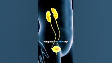 Tác Dụng Phụ Nguy Hiểm Khi Uống Thuốc Huyết Áp Ít Ai Nói | Cao Minh Trường