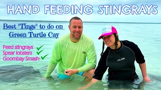 Best things to do on Green Turtle Cay in the Bahamas Feeding stingrays and the famous Goombay Smash