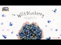 The Story of Wild Blueberry  ワイルドブルーベリー
