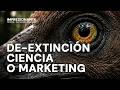 De-extinción ¿Ciencia ficción o marketing de 10,000 millones?