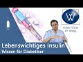 Insulin: Zuckerkrank und lebenslang spritzen? Alles zum Hormon & Medikament bei Diabetes Mellitus