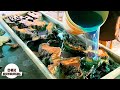 Diy table resin epoxy  wood projects  dak woodworking