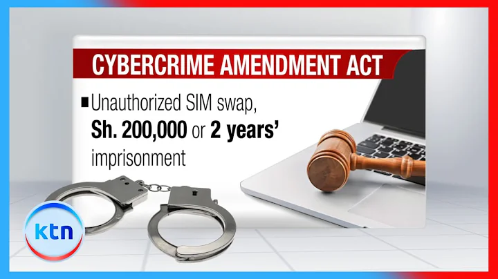High Court suspends key sections of Cybercrimes Amendment Act
