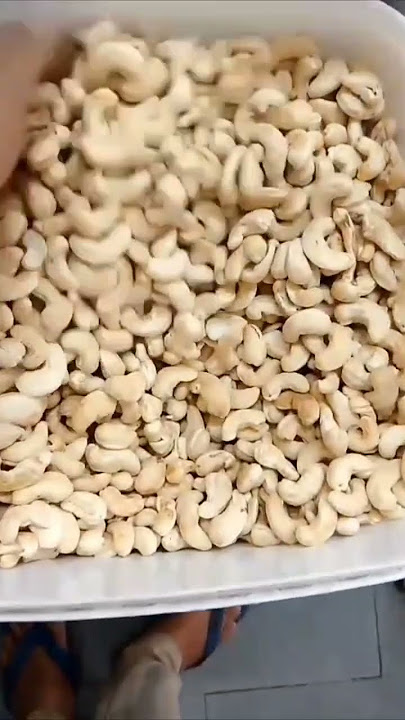 #cashew #kaju #pakistan #food #iran #iraq #indian #pista #bangladesh #indonesia     #culikakudong