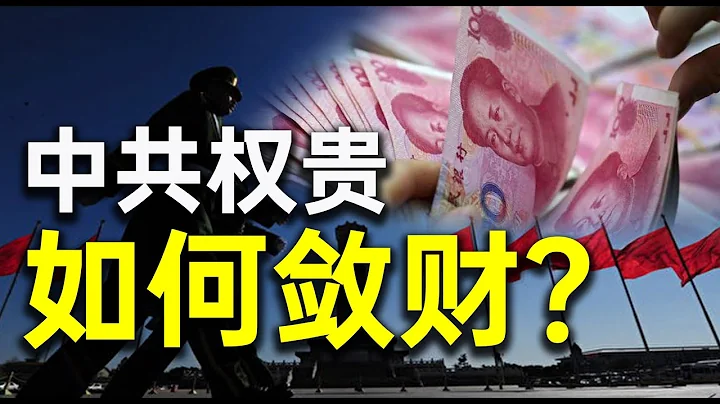 50个中共权贵家族资产10万亿美元！？他们如何敛财？揭秘中国真正的首富是谁。王小鲁：中国灰色收入占GDP的百分之三十 - 天天要闻