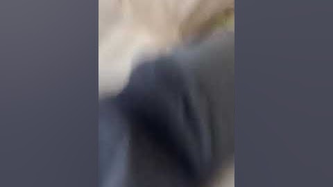 الشيخ احمد ابراهيم البني مقطع رائع من سوره الجمعه والطارق