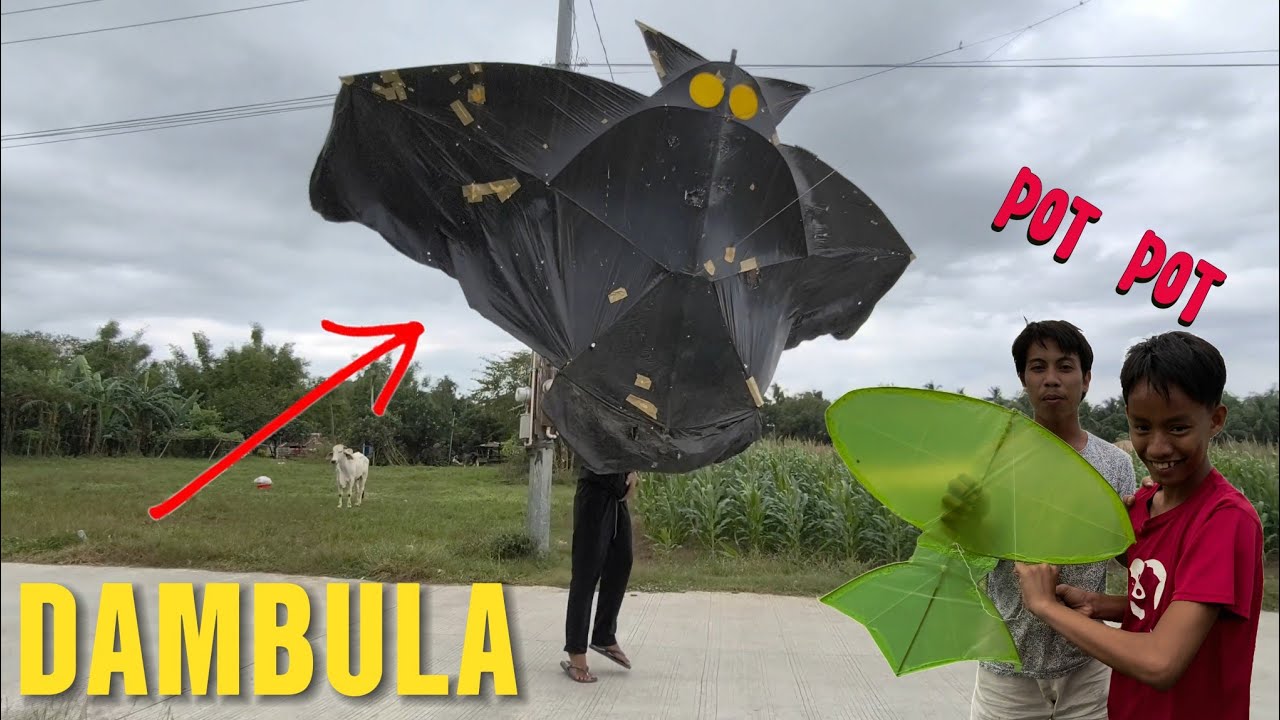 Malaking Saranggola pot pot may bago na saranggola.