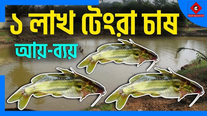 Osiyo lezbiyenlik pornosini tomosha qiling