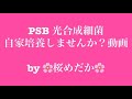 桜めだかのPSB ( 光合成細菌 )作り方！！
