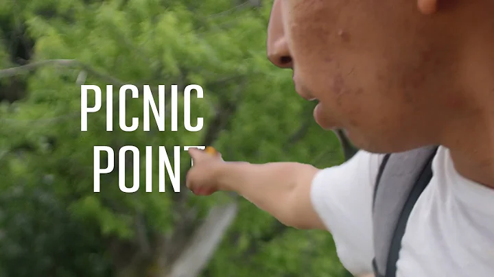 Showing off Madison WI | Picnic Point Madison | Sweet Summer Spot