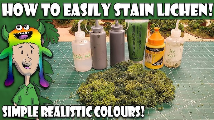 👍👎FolkArt Painted Finishes Moss - REVIEW - Bonus DIY Moss Recipe! 