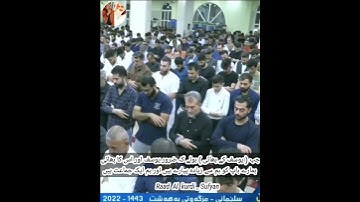 Raad Al kurdi WhatsApp status _ سورة يوسف الشيخ رعد الكردي
