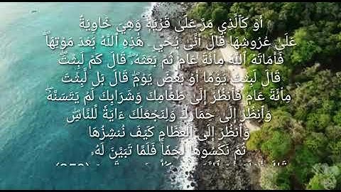 ألم تر إلى الذي حاج إبراهيم في ربه - سورة البقرة - بصوت محمد شودري