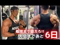 絞れてきた？現在の体の状態を公開します。肩トレも