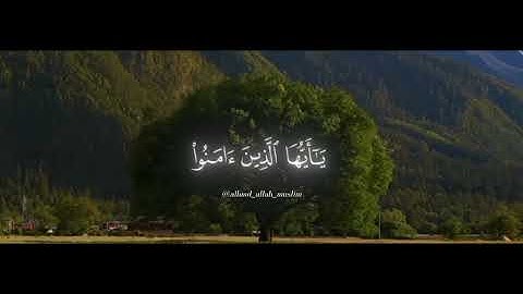 تلاوة هادئه تريـح القلـوب.🥀