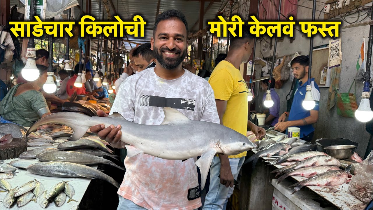 साडेचार किलोची मोरी केलवं फस्त | Vlog No.195 #seafood #foodie #malvani #fish #bebyshark #sweetfamily