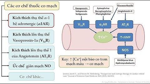 Thuốc vận mạch và tăng sức bóp cơ tim (Vasopressor & Inotrope) - Bs Tín 06-2024
