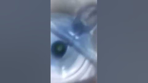ماتيسر من سورة الاحقاف للقارئ / سعد ضاحي الرويلي