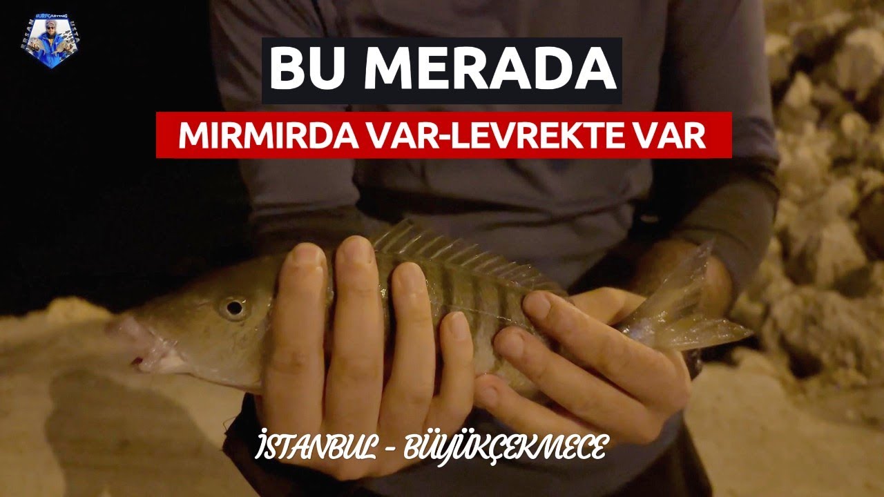 İSTANBUL'DA LEVREKLERLE MÜCADELE