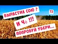 ПРОФЕССИОНАЛЬНАЯ УБОРКА СОИ ...