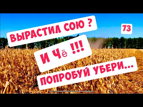 Video: Соя соусун кантип суюлтуу керек