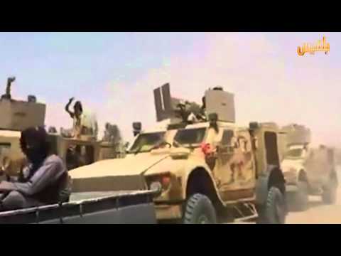 مأرب وحدات من الجيش الوطني تدخل جبهات القتال مع ميليشيا الحوثي تقرير كمال حيدرة
