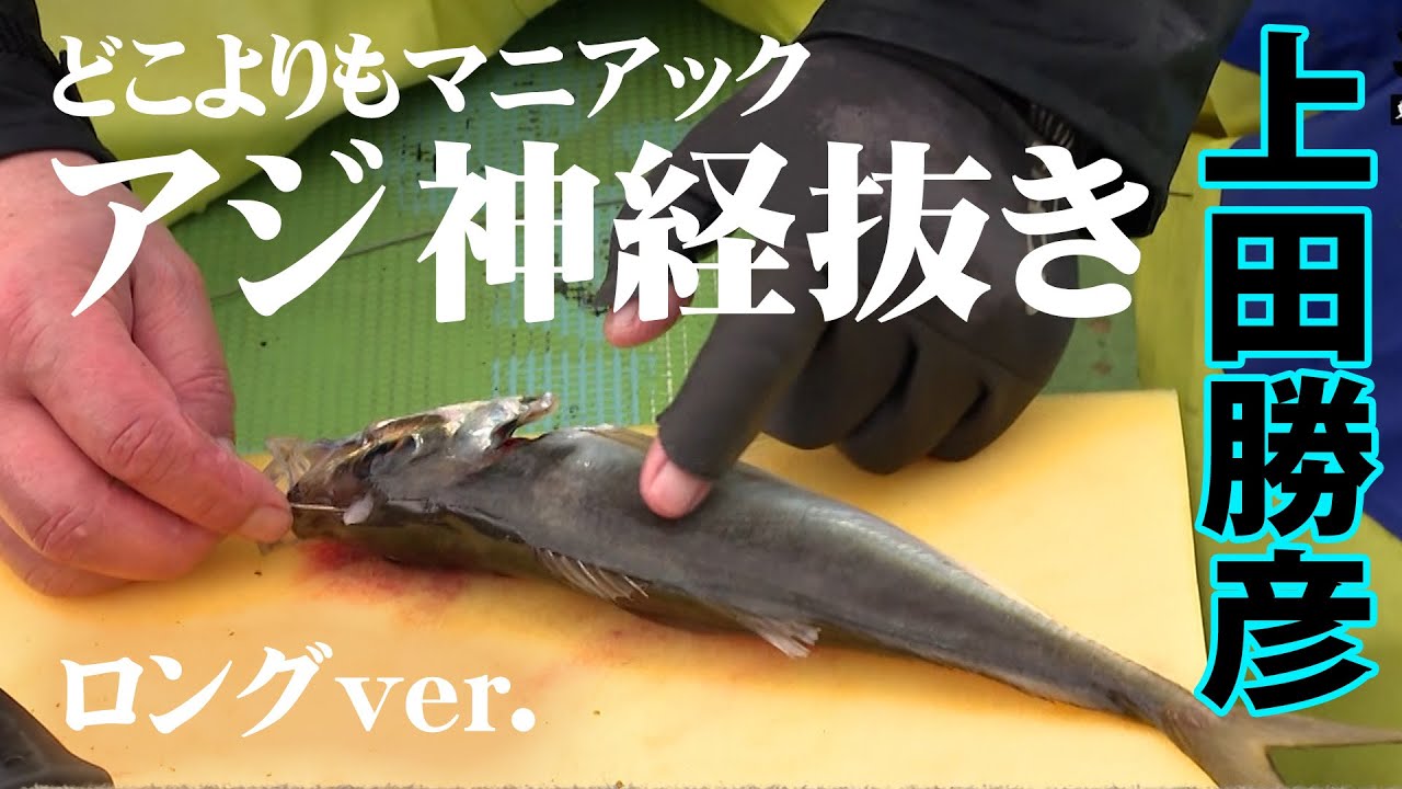 アジの美味しい締め方＆食べ方を解説！釣り人目線の豪快な料理を作って食らう！『オトコの釣りメシ 1 上田勝彦・平林潔×東京湾 横須賀走水沖の大アジ』【釣りビジョン】