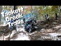 Review tackett creek trails tn  climbs mclean overlook the cabin slate rock and more