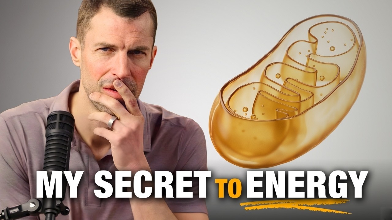 Your Mitochondria Are Starving (Here’s How to Fix Your Energy)
