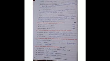 Std.4 Lesson no.8 lll A Great Leader lll Question and answer of workbook