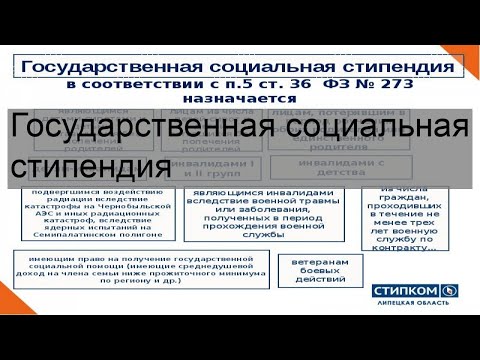 Государственная социальная стипендия