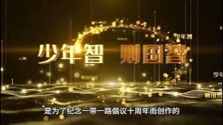 Fellow traveler Xiao Zhan's musical journey and charity work