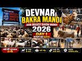 Devnar Bakra Mandi 🐐✨2026 | Day 01| #deonarbakra Deonarbakramandi @Nishavlog-42 