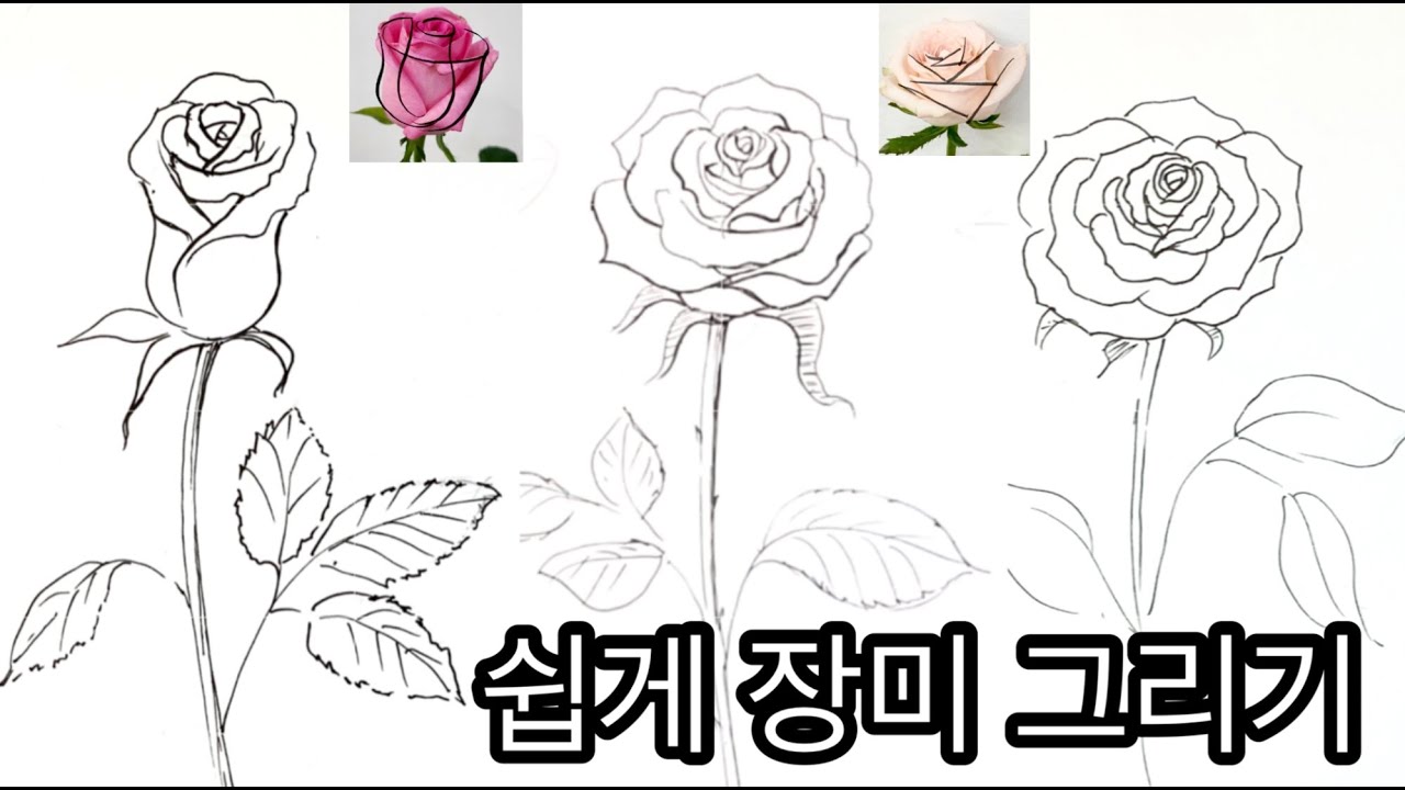 장미 그리기 / 쉽게 장미꽃 스케치하는 방법 / 꽃 잘 그리기 /How To Draw Rose - Youtube