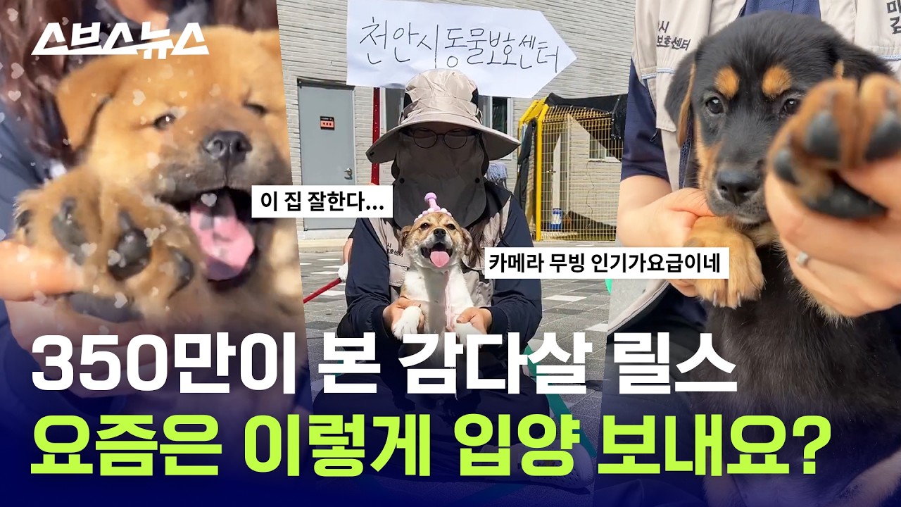 감다살 릴스로 대박 난 천안시 근황 / 스브스뉴스