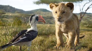 Simba, a young lion prince, Avenges the Murder of his Father Mufasa and Becomes a True King.