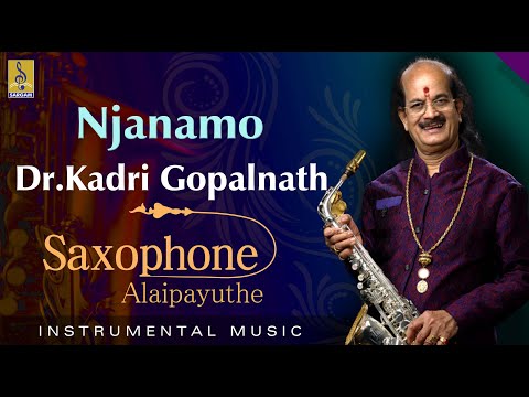 Njanamo - Thrilling Saxophone by Dr Gopalnath