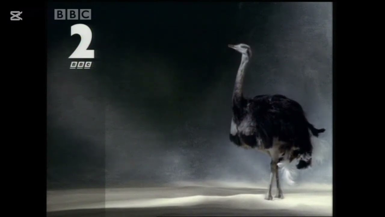 BBC 2 Sting Found in Ravensbourne university london another another