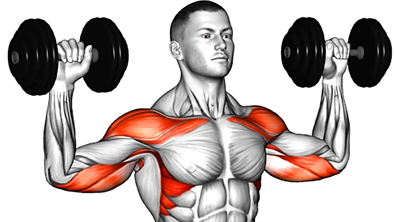 10 Best Dumbbell Exercises for Building Muscle At Home