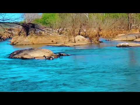 ভিডিও: শেনানডোহ উপত্যকার সেরা শহর