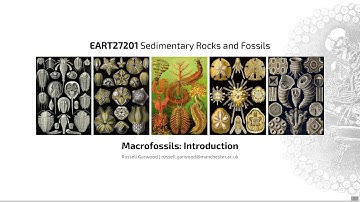 Introduction, Video 2 - EART27201 - Sedimentary Rocks and Fossils