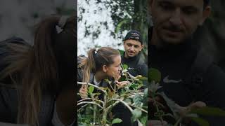 More Than a Farm Stay | Go Trekking at Rimbun Farm, #Bali