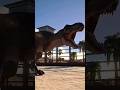 Jurassic World Evolution 2 – Doe T-Rex vs Spinosaurus: Deadly Showdown ☠️ #shorts #trex #spinosaurus