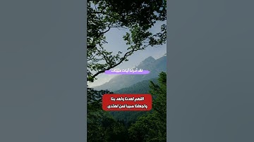 لقد أنزلنا آيات مبينات ۚ والله يهدي من يشاء إلى صراط مستقيم #القران  #القران_الكريم_راحه_نفسية