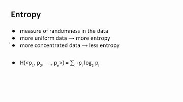 Section 10: Decision Trees