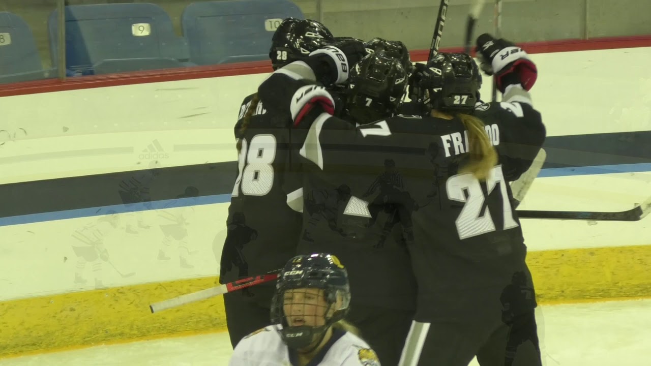 quinnipiac baseball Quinnipiac women's ice hockey falls to Providence 3-2