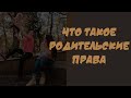 Что такое родительские права